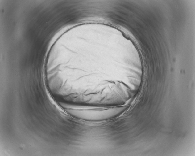 X0000085751440200704131659