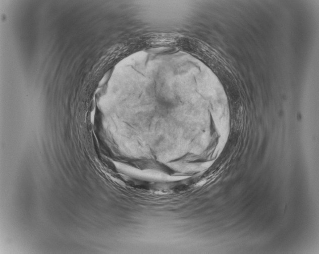 X0000085751441200704131658