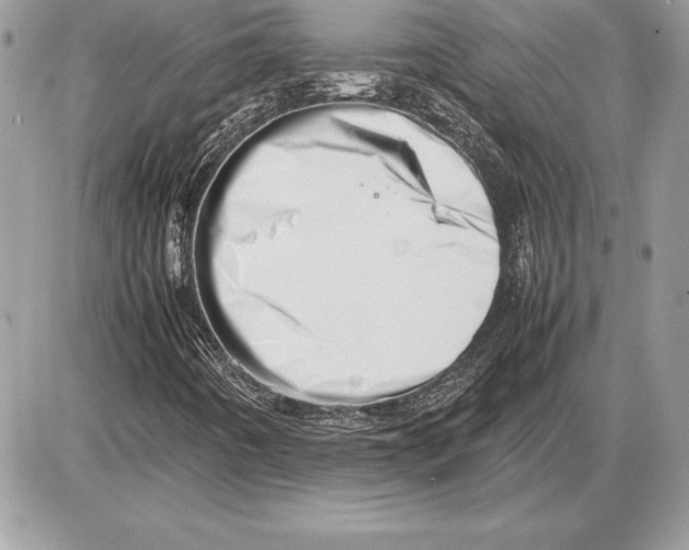 X0000085751442200704131658