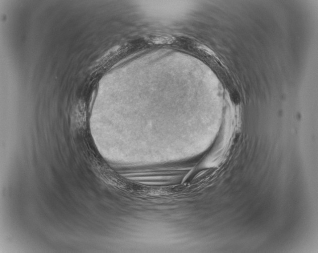 X0000085751443200704131658