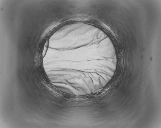 X0000085751448200704131658