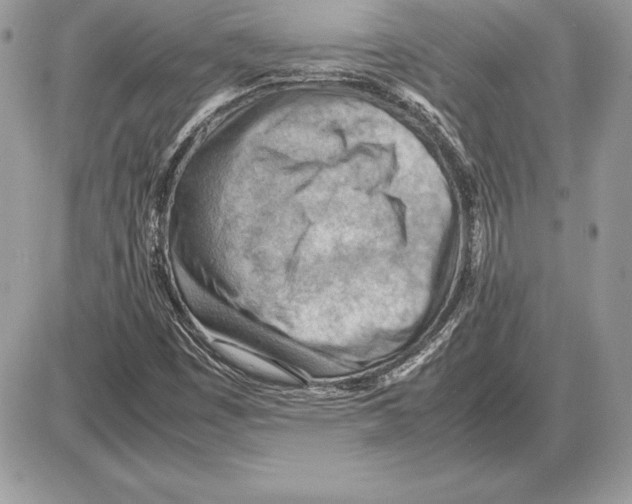 X0000085751449200704131658