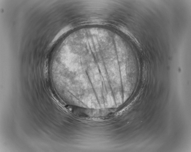 X0000085751450200704131658