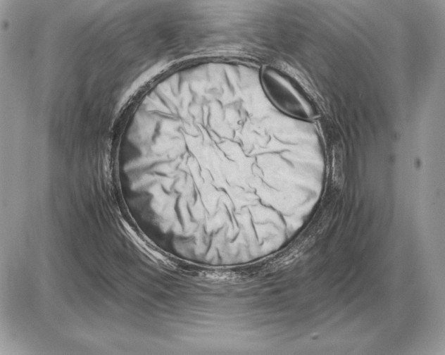 X0000085751452200704131658