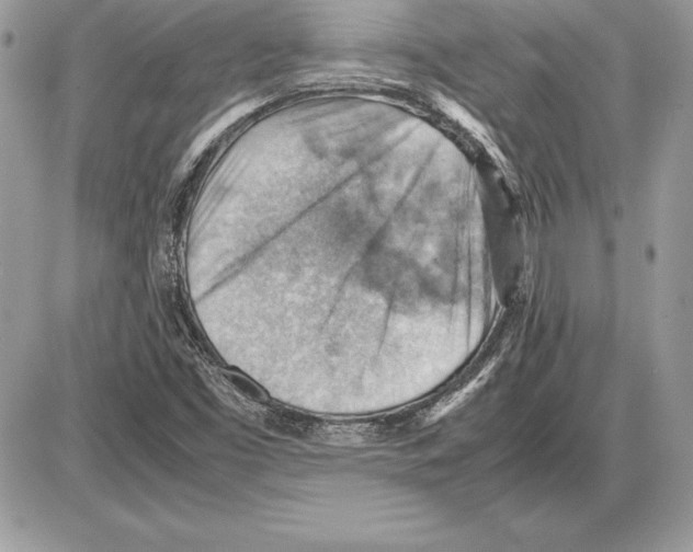 X0000085751453200704131658