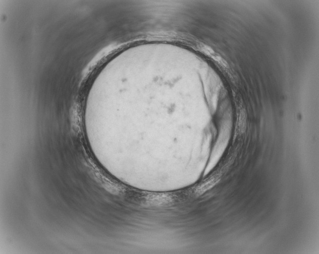 X0000085751454200704131658