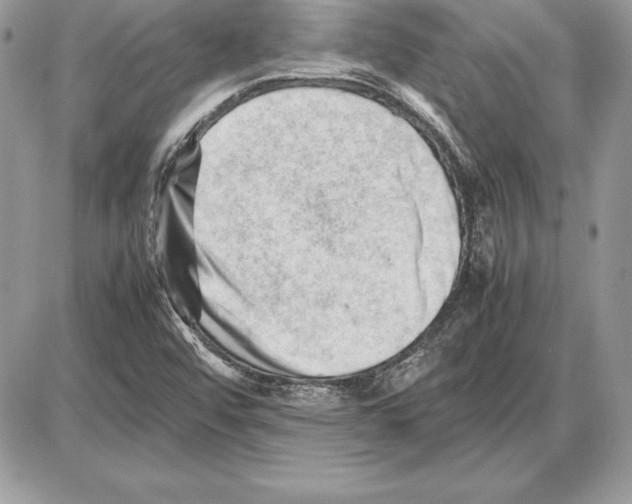 X0000085751456200704131658