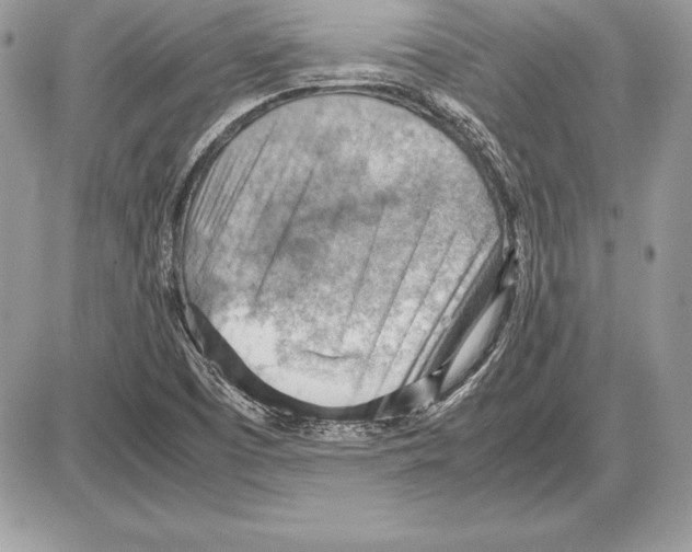 X0000085751457200704131658