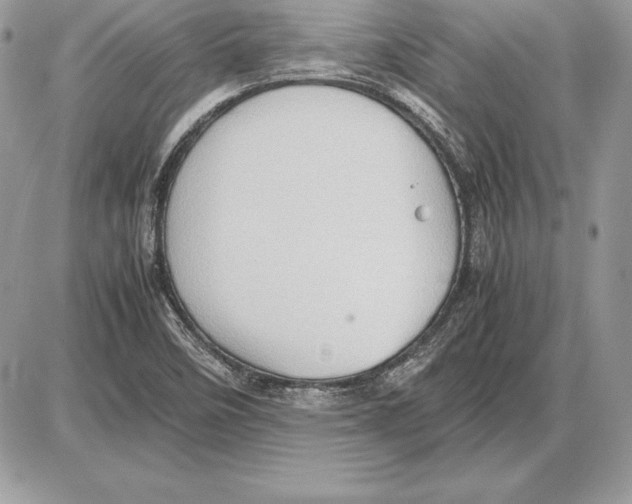 X0000085751458200704131658