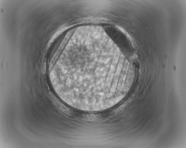 X0000085751459200704131658