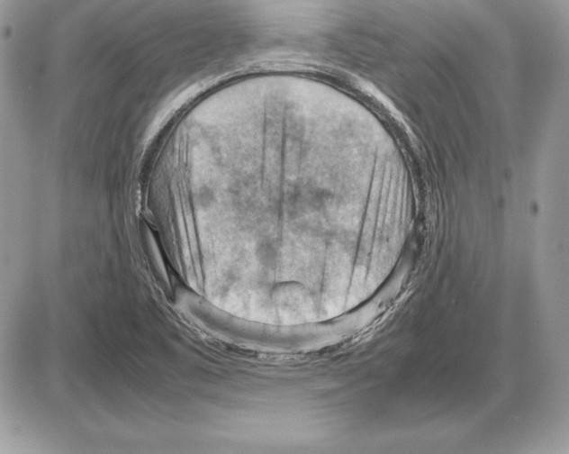 X0000085751461200704131658