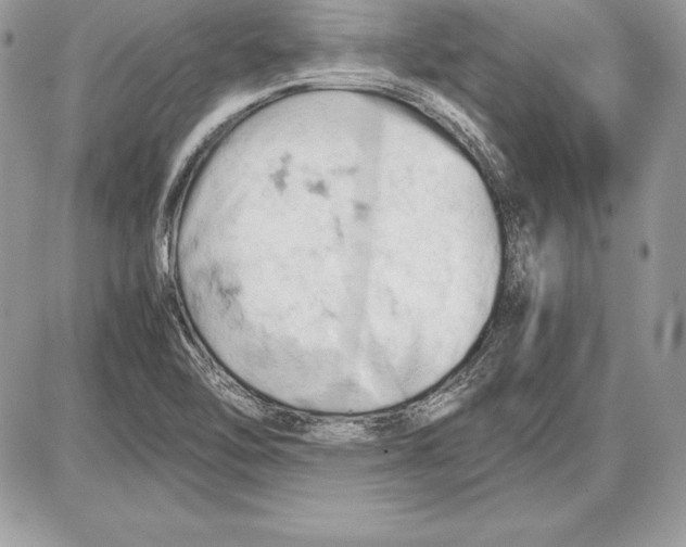 X0000085751462200704131658