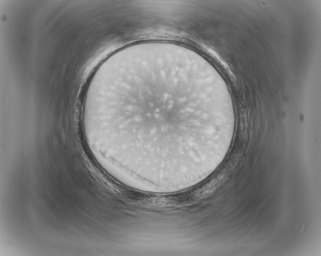 X0000085751463200704131658