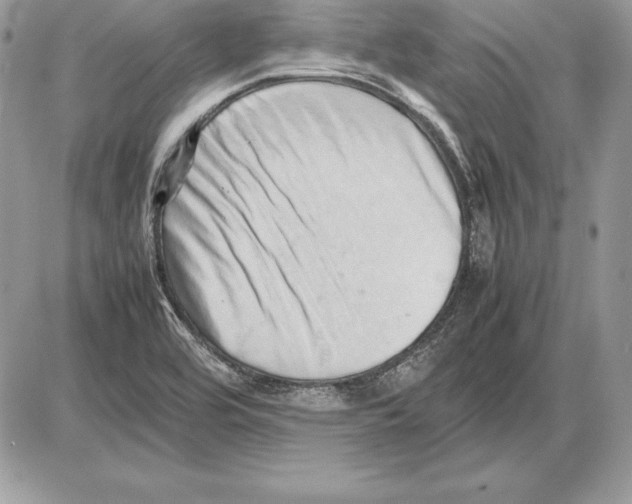 X0000085751464200704131658