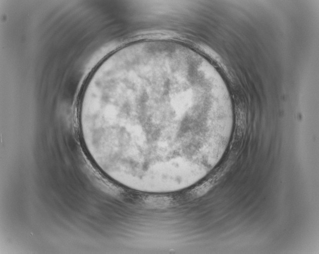 X0000085751466200704131658