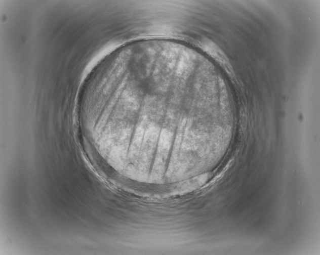 X0000085751469200704131658