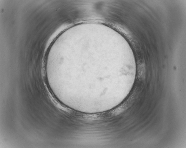 X0000085751470200704131658