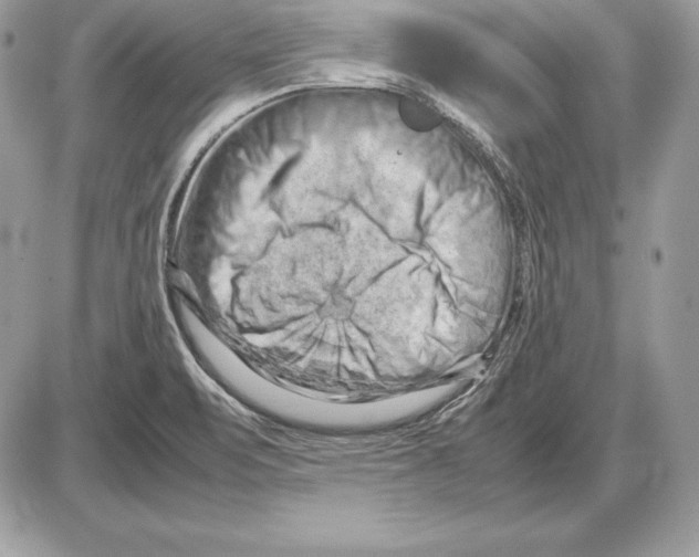 X0000085751471200704131658