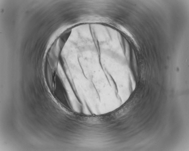 X0000085751472200704131658