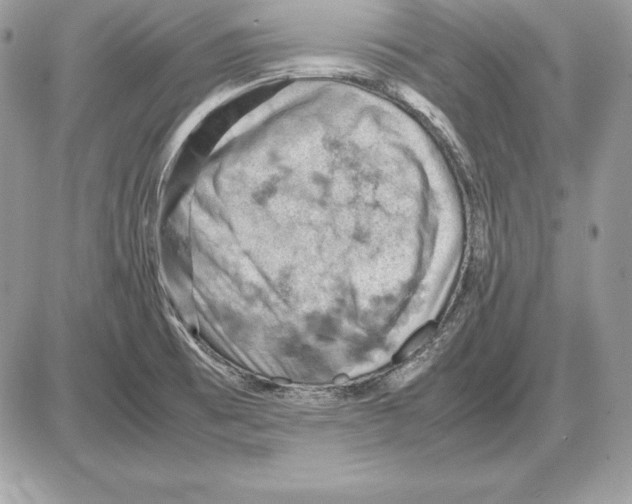 X0000085751473200704131658