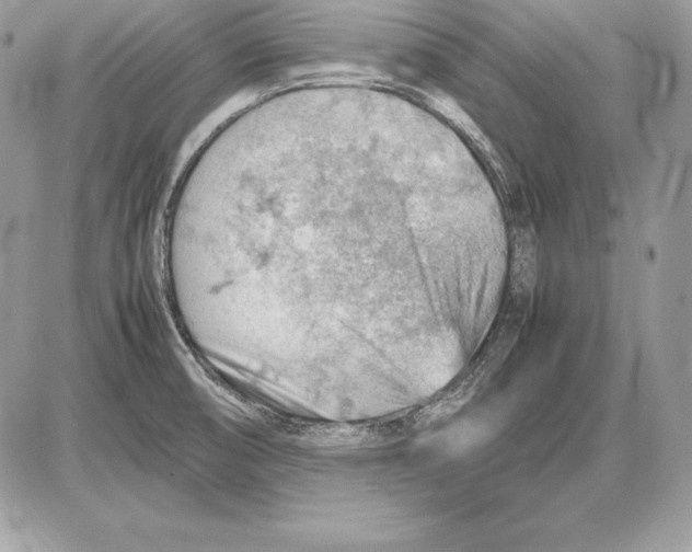 X0000085751474200704131658