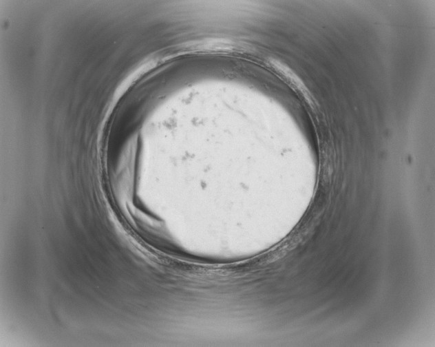 X0000085751475200704131658