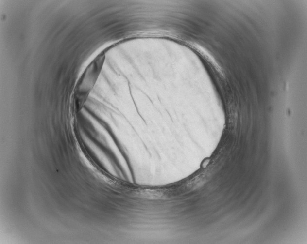 X0000085751476200704131658