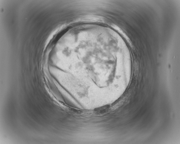 X0000085751477200704131658