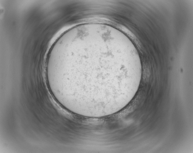 X0000085751478200704131658