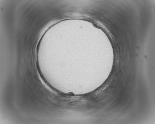 X0000085751479200704131658