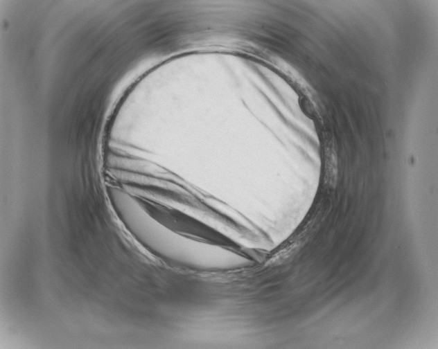 X0000085751480200704131658