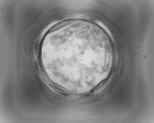 X0000085751481200704131658