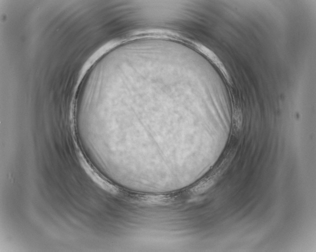 X0000085751482200704131658