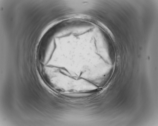 X0000085751483200704131658