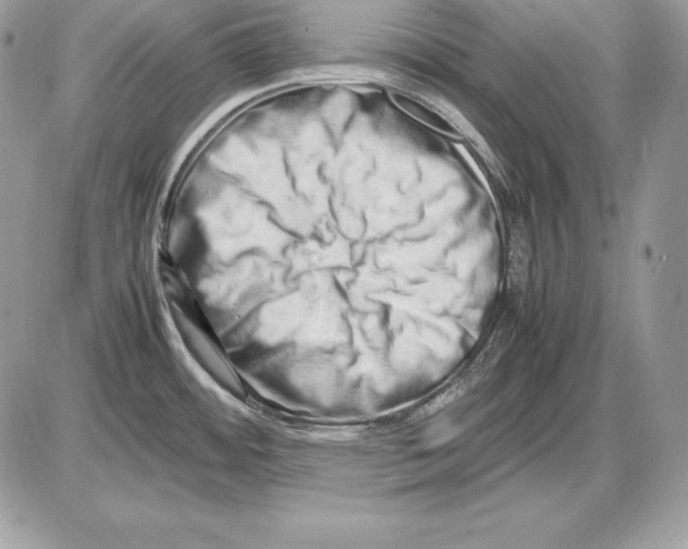 X0000085751484200704131658