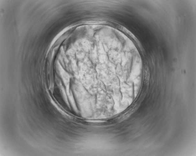 X0000085751487200704131657