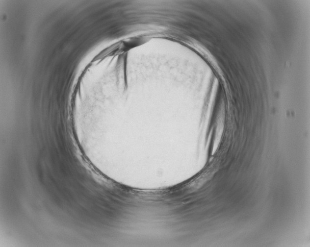 X0000085751488200704131657