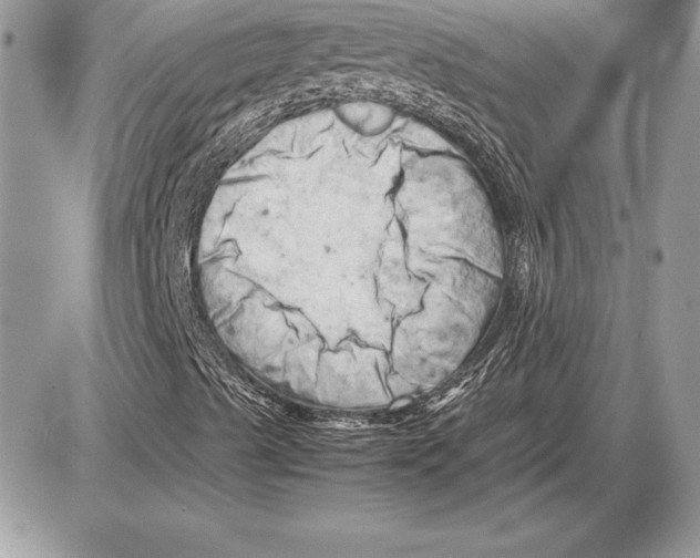 X0000085751489200704131657