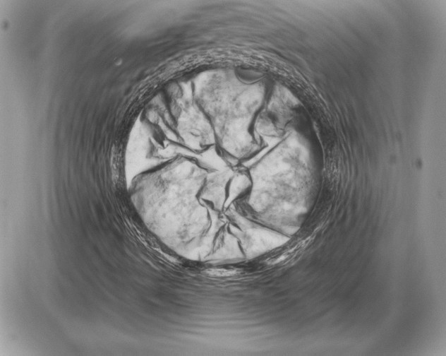 X0000085751490200704131657