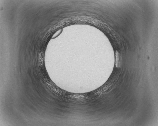 X0000085751491200704131657