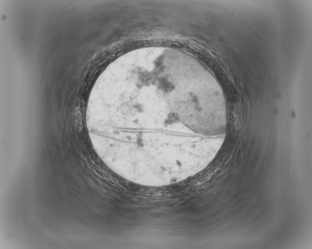 X0000085751493200704131657