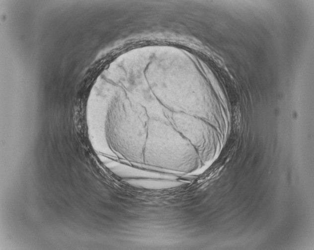 X0000085751494200704131657