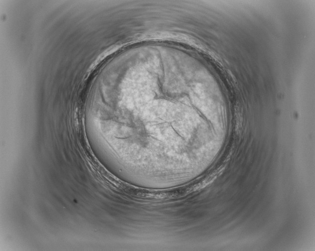 X0000085751497200704131657