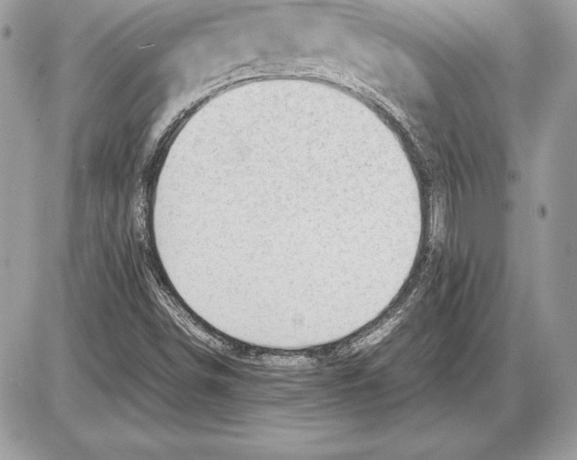 X0000085751498200704131657