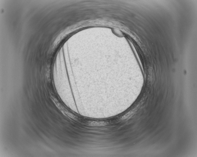 X0000085751499200704131657