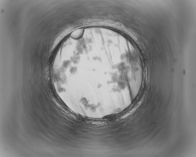 X0000085751501200704131657