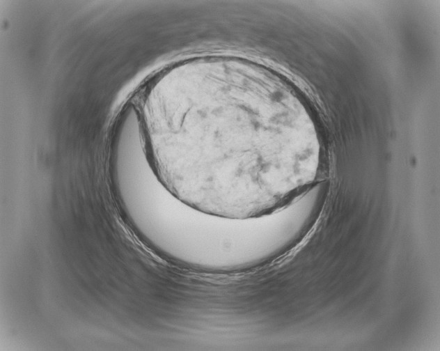 X0000085751502200704131657