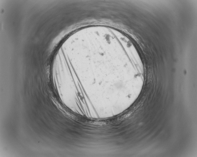 X0000085751503200704131657