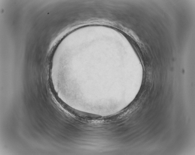 X0000085751504200704131657