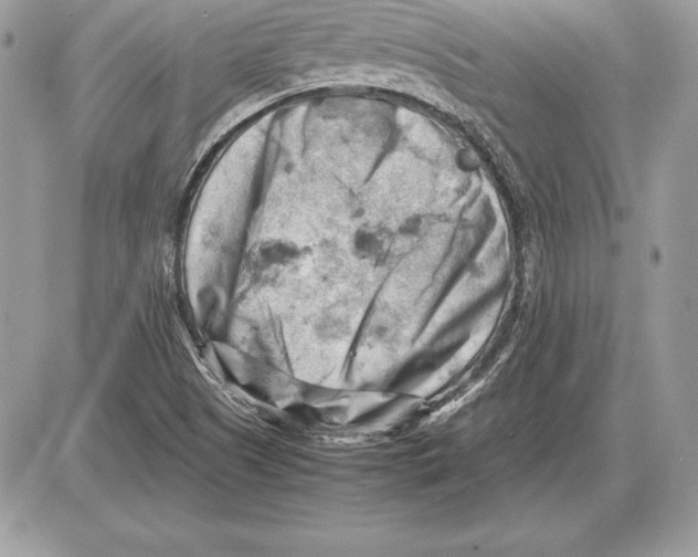 X0000085751505200704131657